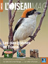 L'Oiseau Magazine n°104