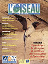 L'Oiseau Magazine n°66