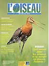 L'Oiseau Magazine n°71