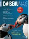 L'Oiseau Magazine n°81