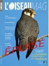 L'oiseau Magazine n°90