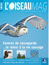 L'oiseau Magazine n°95