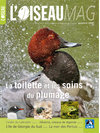 L'oiseau Magazine n°96