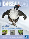 L'oiseau Magazine n°97