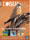 L'oiseau Magazine n°98