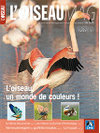 L'oiseau Magazine n°99