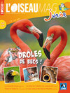 L'Oiseau Magazine Junior n°3