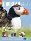 L'Oiseau Magazine n°105