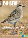 L'Oiseau Magazine n°108