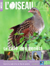 L'Oiseau Magazine n°109