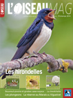 L'Oiseau Magazine n°114