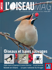 L'Oiseau Magazine n°117