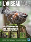 L'Oiseau Magazine n°129