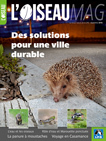 L'Oiseau Magazine n°132