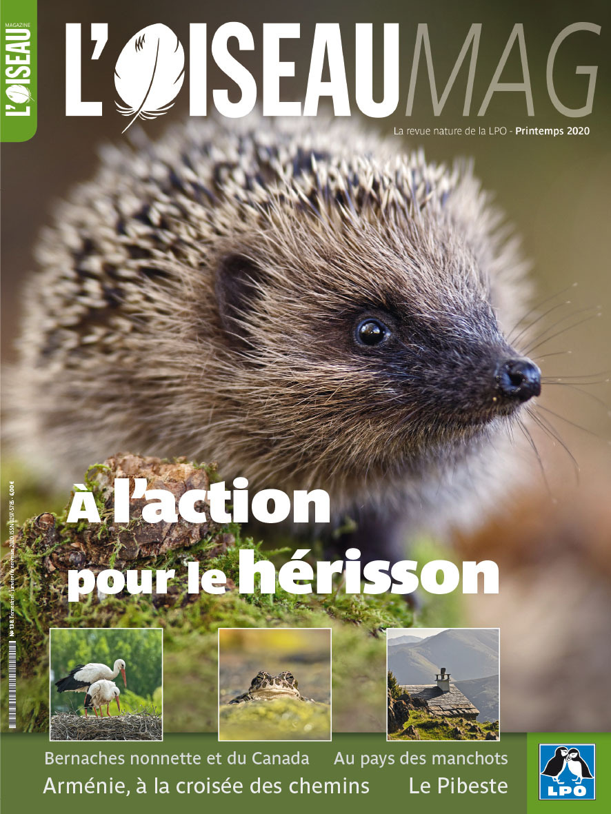 L'Oiseau Magazine n°138