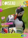 L'Oiseau Magazine Junior n°6