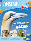 L'Oiseau Magazine Junior n°7