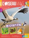 L'OISEAU MAG Junior n°8