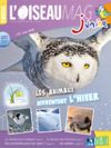 L'Oiseau Magazine Junior n°9