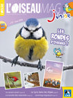 L'OISEAU MAG Junior n°17