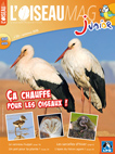 L'OISEAU MAG Junior n°20