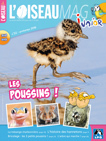 L'OISEAU MAG Junior n°22