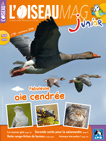 L'OISEAU MAG Junior n°36