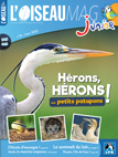 L'OISEAU MAG Junior n°41