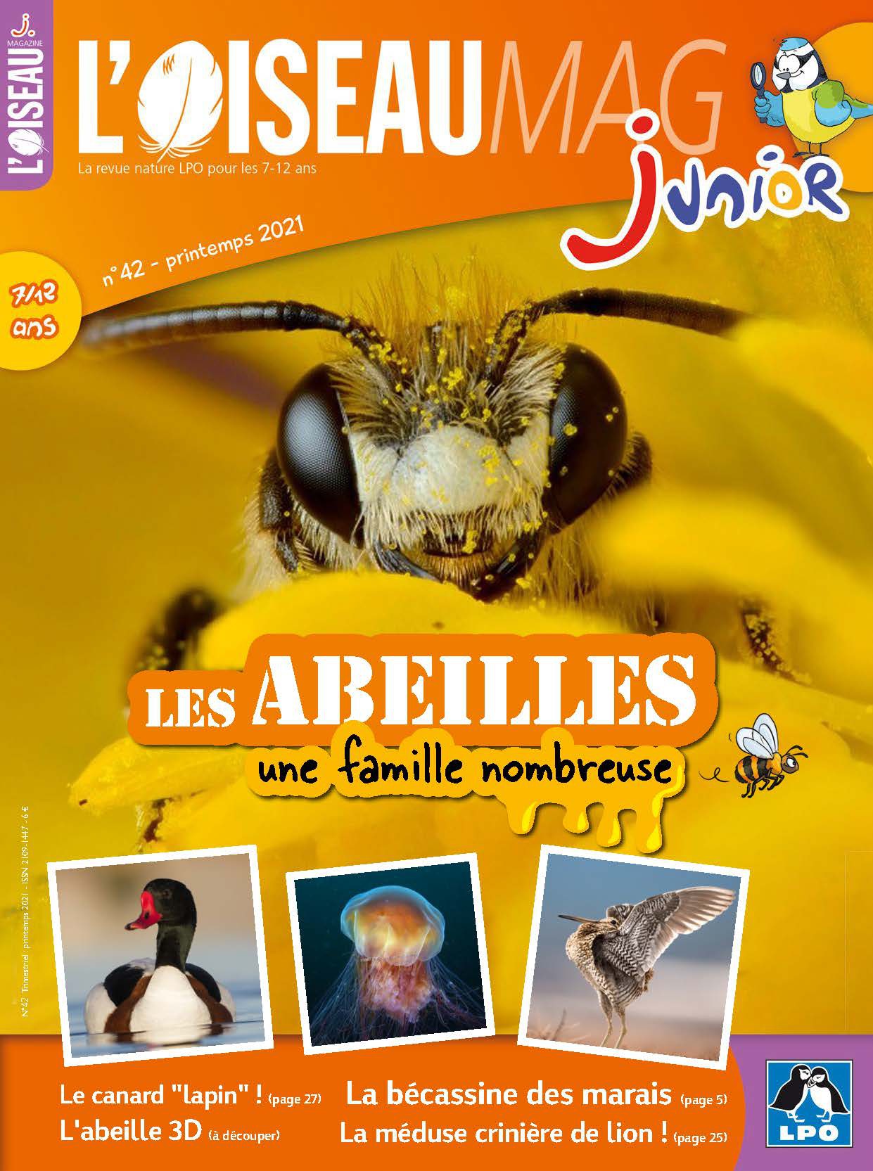 L'OISEAU MAG Junior n°42