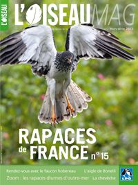 Rapaces de France n°15 (2013)