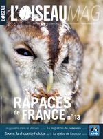 Rapaces de France n°13 (2011)