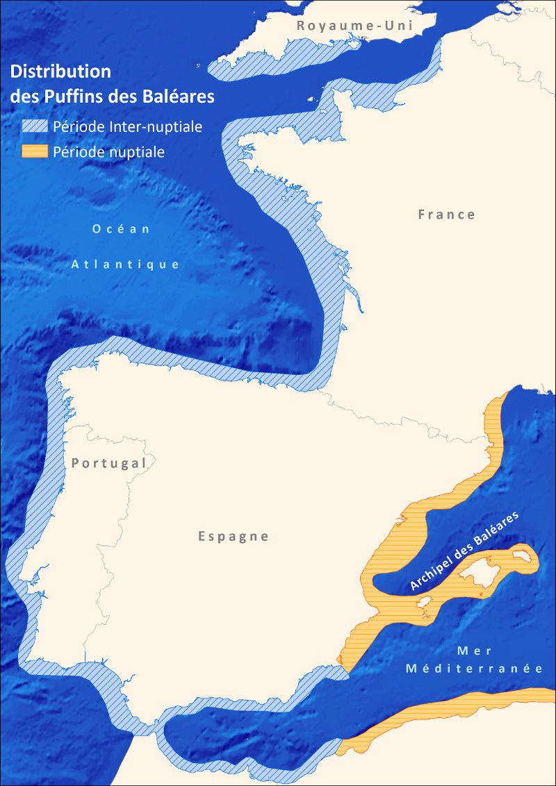 Biogeographie Puffin des Baleares carto Sebastien Dalloyau LPO FAME800