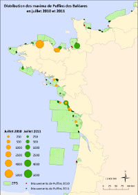 Distribution puffins juillet 2010-2011 200