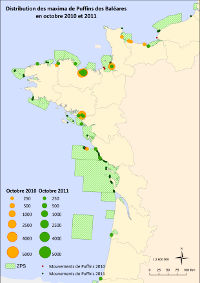                                                                    Ensemble de fréquentation 2010 par région carto SD200Ensemble de fréquentation 2010 par région » cartographie : Sébastien Dalloyau (LPO/FAME)