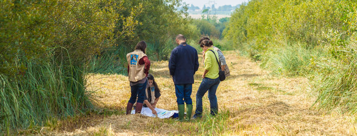 Les équipes Natura 2000 de la LPO sur le terrain – Crédit photo : Alexis Orseau