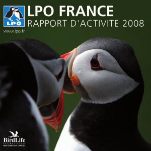 Rapport d’activité 2008