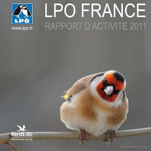 Rapport d’activité 2011