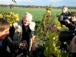 Allain Bougrain Dubourg libère un chardonneret élégant devant la presse.