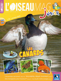 Couverture OMJ 12 