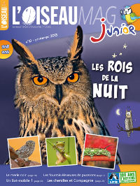 Couverture Oiseau Mag junior N°10