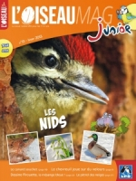 Oiseau Magazine Junior N°13