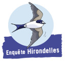 Enquête Hirondelles