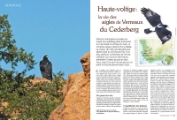 OM113 Reportage 