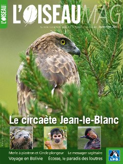 L'OISEAU MAG 116