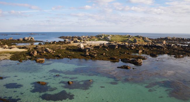 Réserve Naturelle Nationale d'Iroise - Crédit photo : Bretagne Vivante