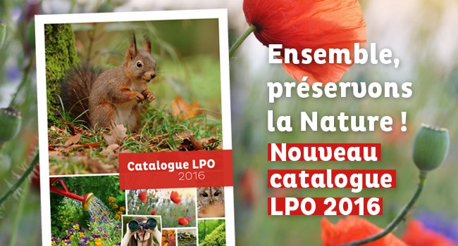 catalogue 2016 boutique 650