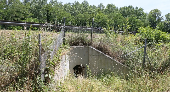 Exemple d'aménagement pour la faune sauvage - photothèque VINCI Autoroutes - Crédit photo : Thierry Chomel