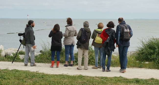 Réserve Naturelle de Lilleau de Niges, Maison du Fier - Crédit photo : LPO