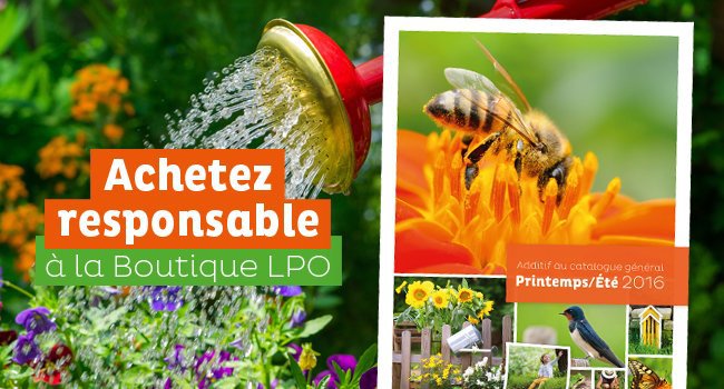 Additif de printemps du catalogue de la boutique LPO