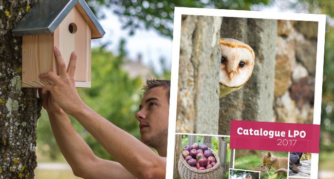 image actu catalogue2017 650